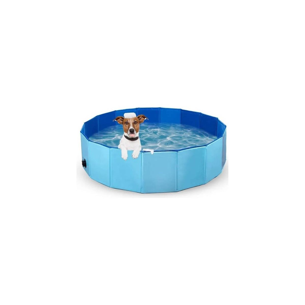 U BUY - Piscina Pileta Plegable Para Mascotas Y Niños 80 X 20 Cms