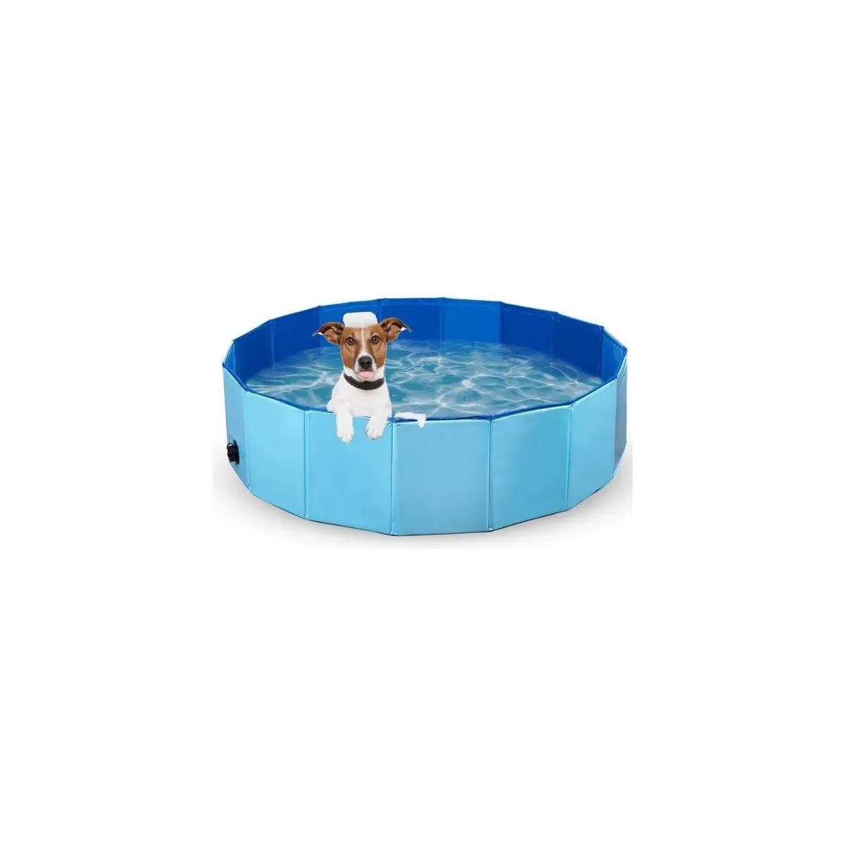 U BUY - Piscina Pileta Plegable Para Mascotas Y Niños 80 X 20 Cms