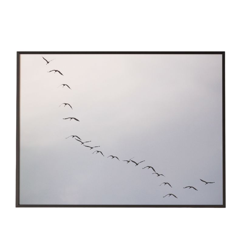 AMOBLE - Fotografía Aves B 60 X 80 Amoblé