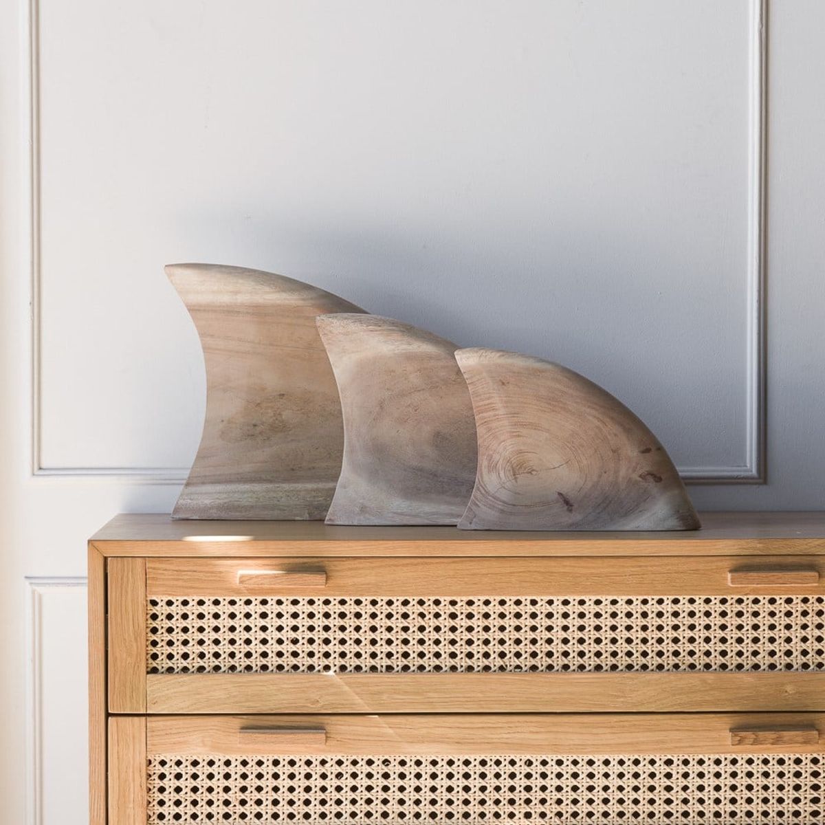 AMOBLE - Aleta tiburón m Amoblé