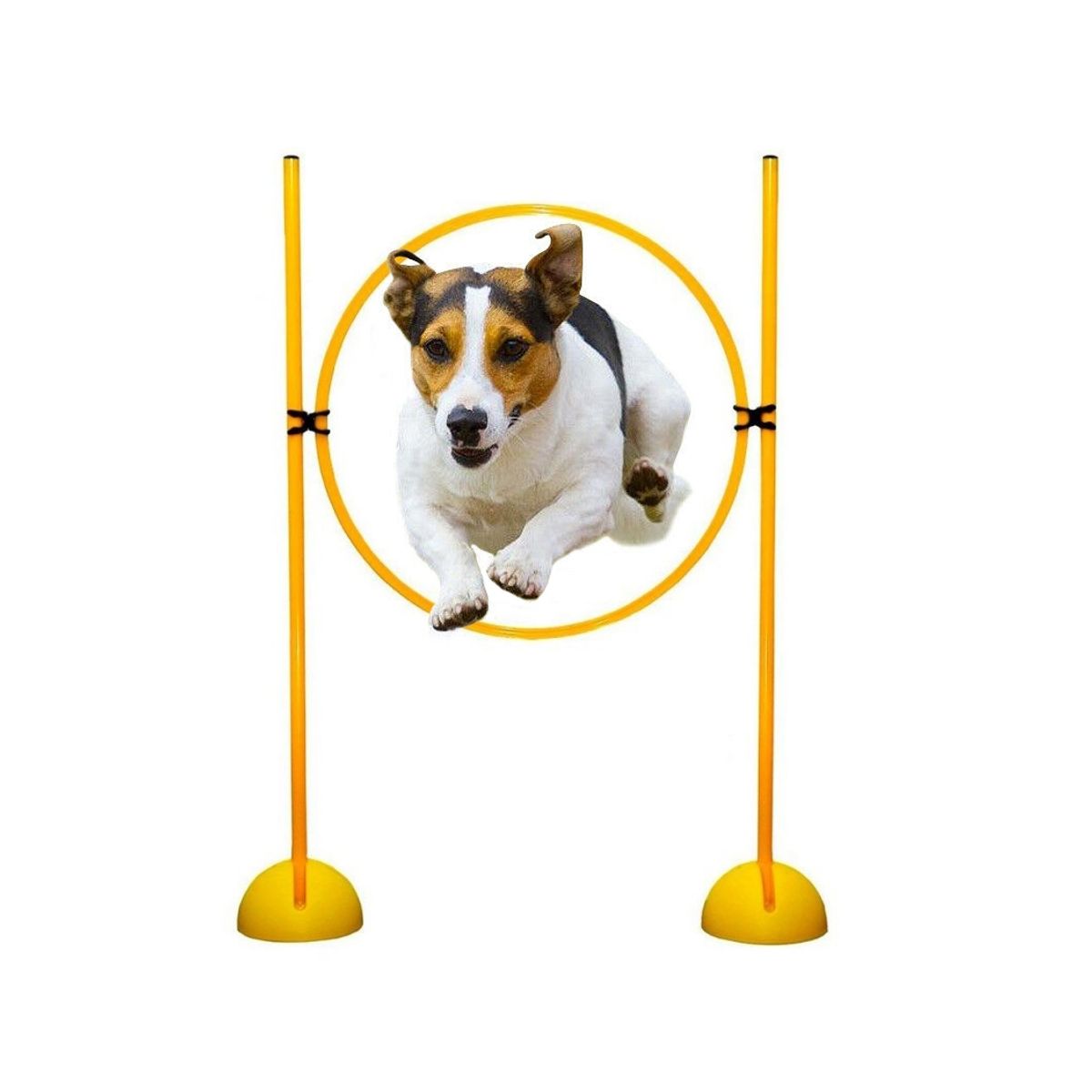 GENERICO - Circuito Agilidad 7 Vallas + Base + 2 Aros + Clips Mk-860-2