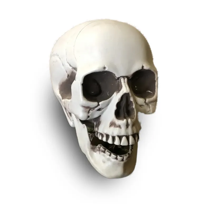 HALLOWEEN - CALAVERA HUMANA DECORACIÓN 18CM