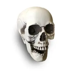 HALLOWEEN - CALAVERA HUMANA DECORACIÓN 18CM