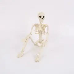 HALLOWEEN - ESQUELETO ADORNO 40CMS