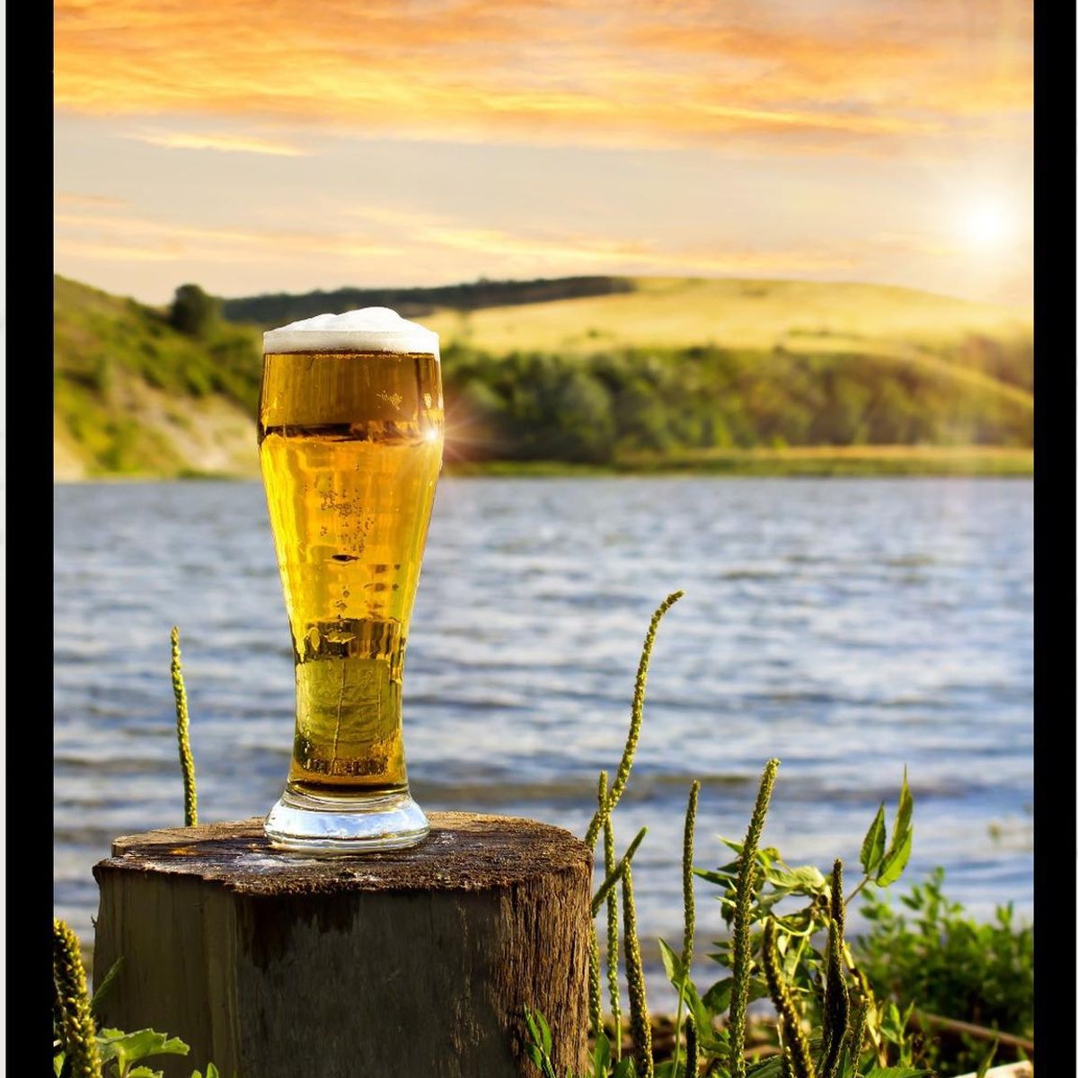 GENERICO - Cuadro Decorativo Cerveza en Lago Medidas 30x40 CM