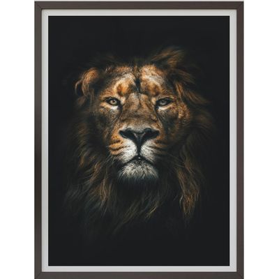 Imagen 2 del producto Cuadro Decorativo Leon con Marco y vidrio Medidas 30x40 CM