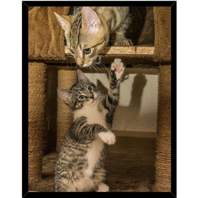 GENERICO - Cuadro Decorativo Gatos Juguetones Medidas 30x40 CM
