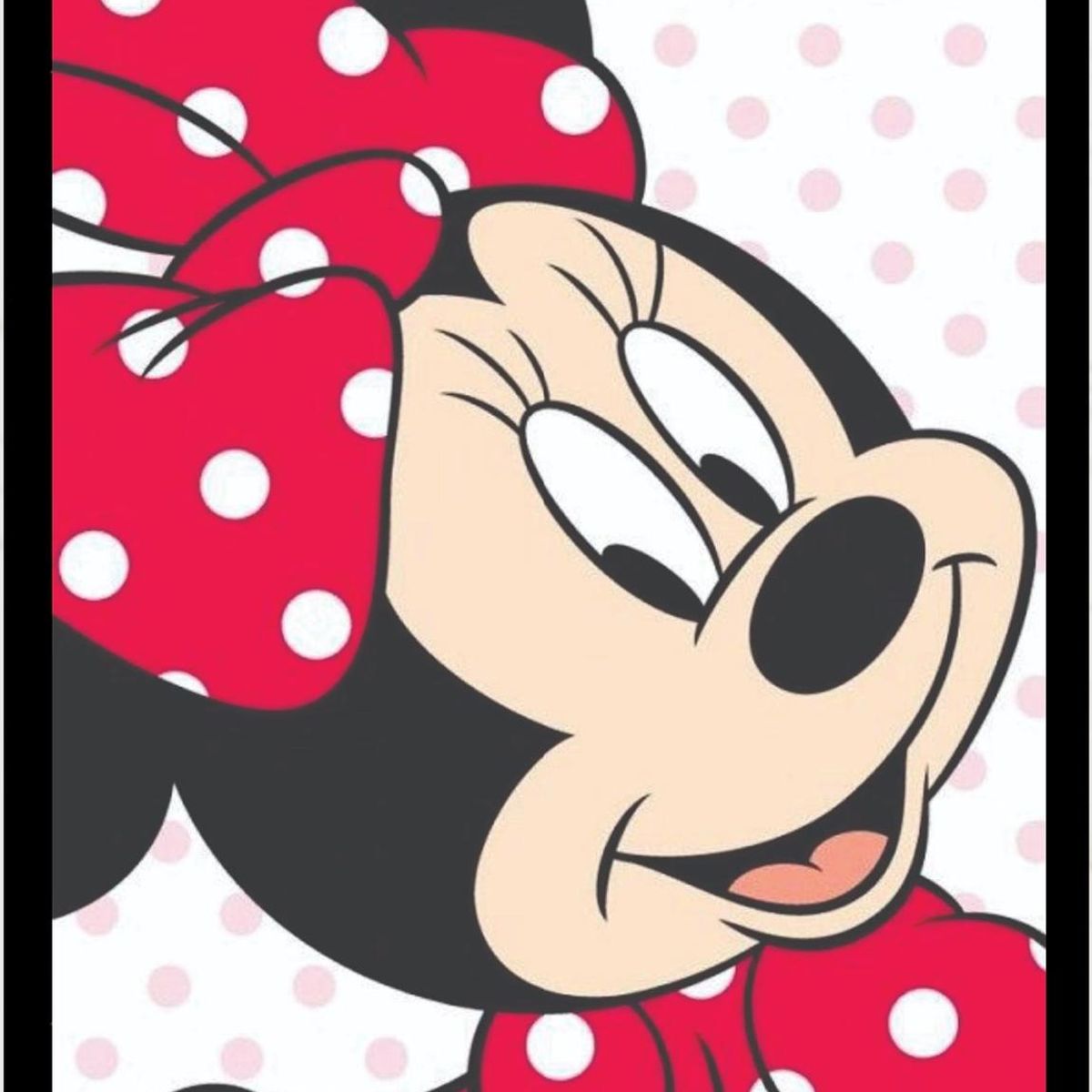 GENERICO - Cuadro Decorativo Minnie Mouse 30x40 CM