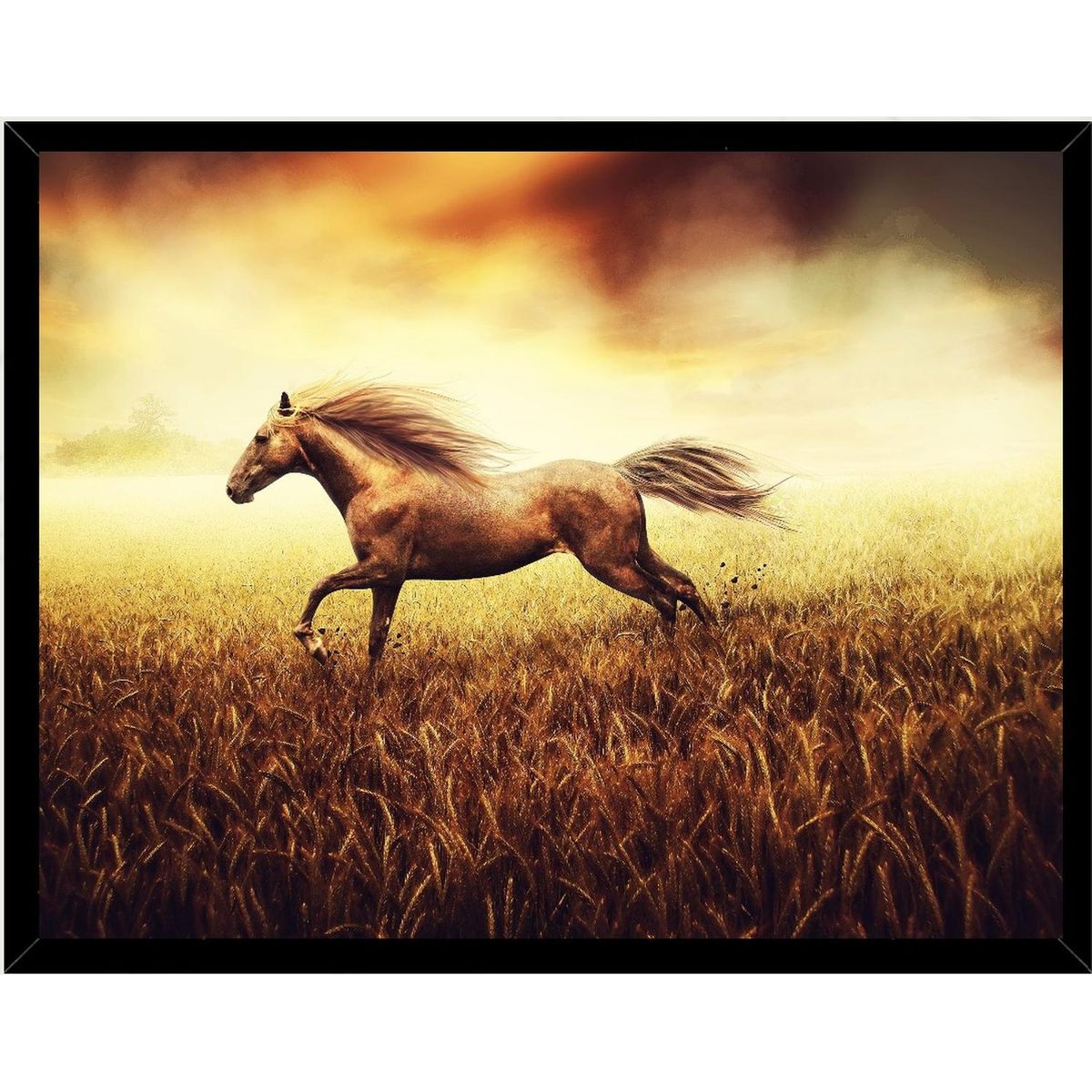 GENERICO - Cuadro Decorativo Figura Caballo Corsel Medidas 30x40 CM