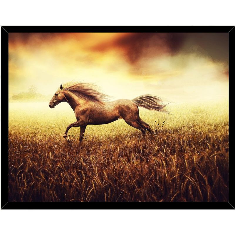 GENERICO - Cuadro Decorativo Figura Caballo Corsel Medidas 30x40 CM