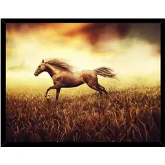 GENERICO - Cuadro Decorativo Figura Caballo Corsel Medidas 30x40 CM