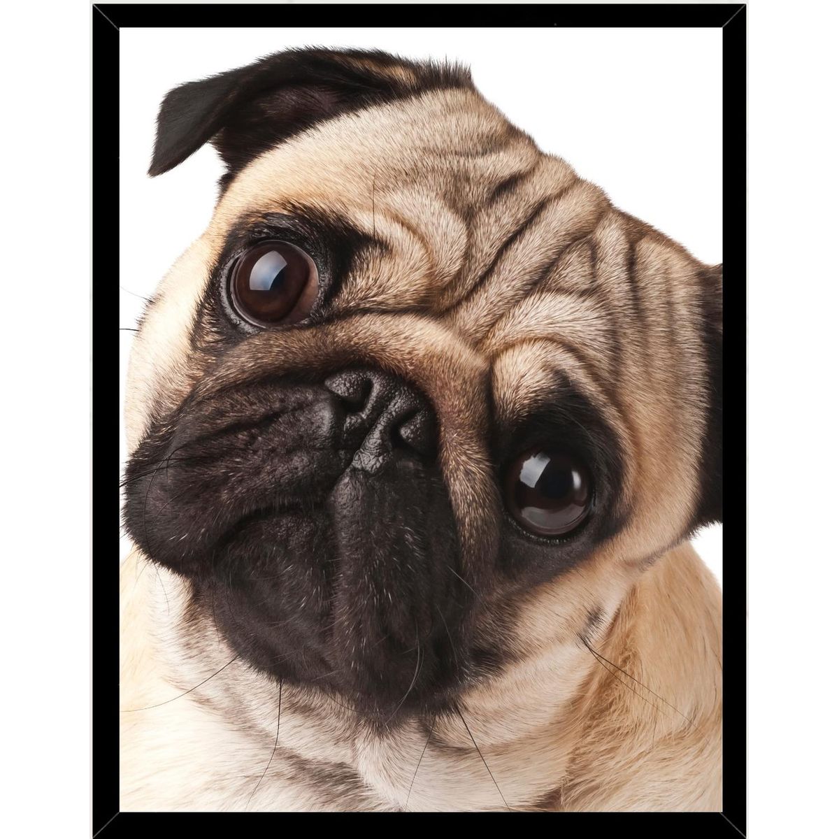 GENERICO - Cuadro Decorativo Perro Pug Tierno Medidas 30x40 CM