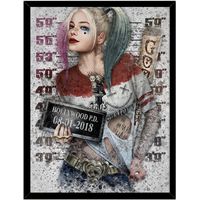 Cuadro Decorativo Harley Quinn Medidas 30x40 CM