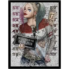 GENERICO - Cuadro Decorativo Harley Quinn Medidas 30x40 CM