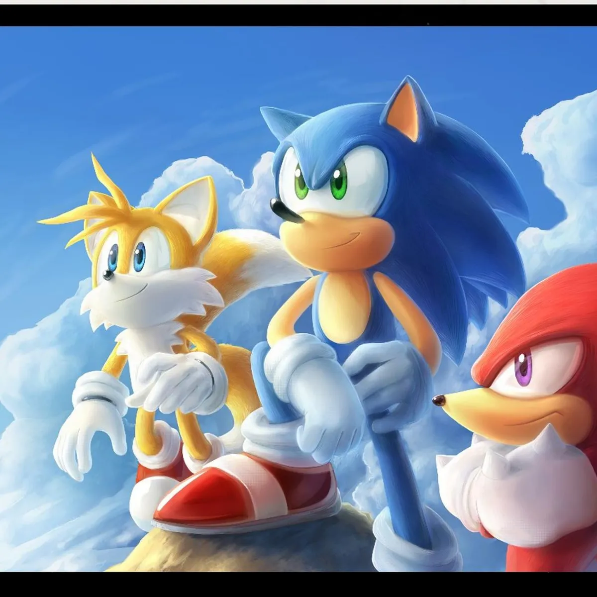 GENERICO - Cuadro Decorativo Sonic Medidas 30x40 CM