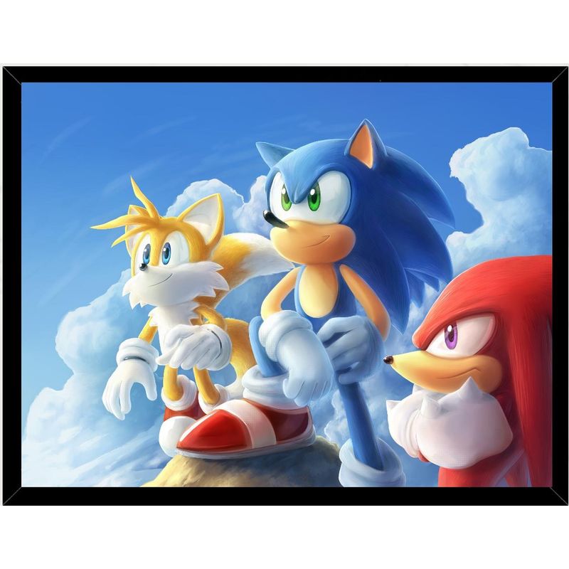 GENERICO - Cuadro Decorativo Sonic Medidas 30x40 CM