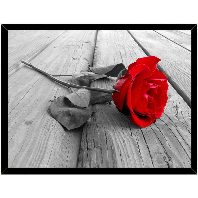 GENERICO - Cuadro Decorativo Rosa Roja Medidas 30x40 CM