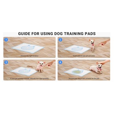 Imagen 2 del producto 100 Pañales 60x60 Sabanillas Perro Mascota Aroma Y Adhesivo