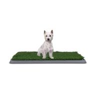 Baño Sanitario Perro XL Ecológico Perros Baño Puppy Potty