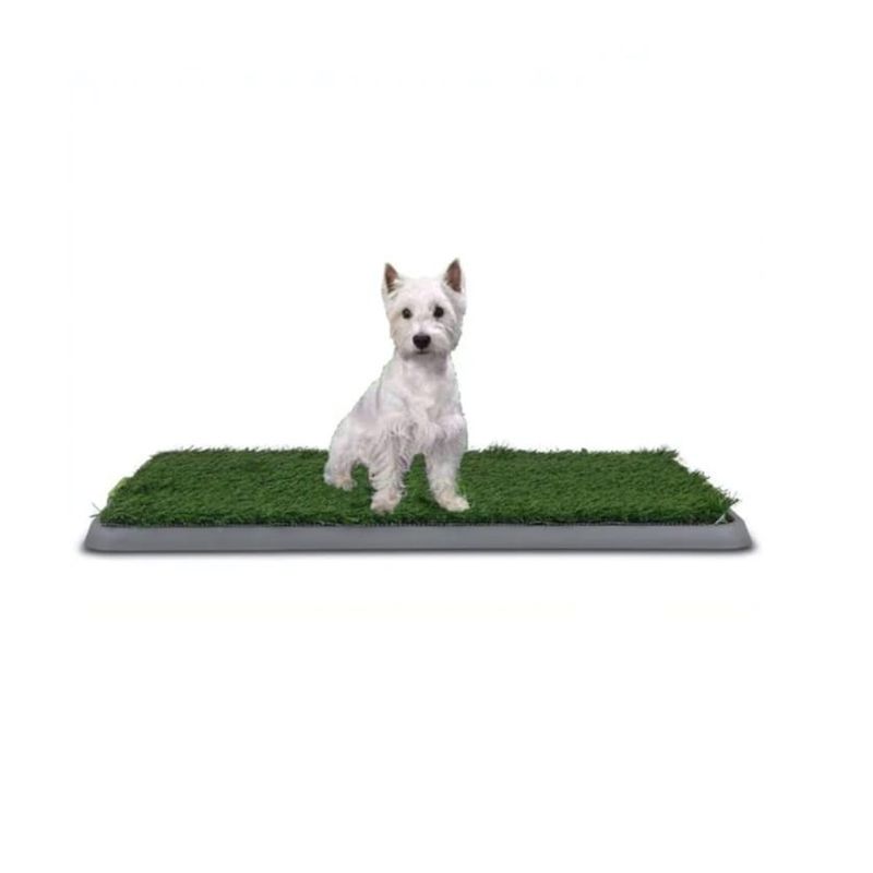 GENERICO - Baño Sanitario Perro XL Ecológico Perros Baño Puppy Potty
