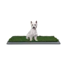 GENERICO - Baño Sanitario Perro XL Ecológico Perros Baño Puppy Potty