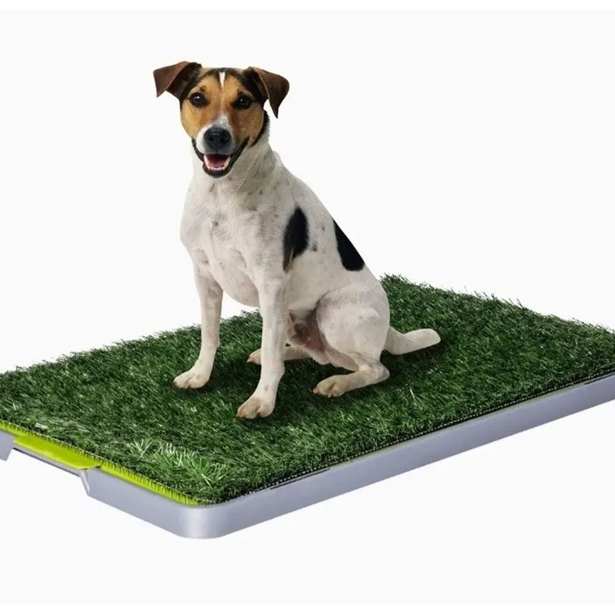 GENERICO - Baño Sanitario Perro XL Ecológico Perros Baño Puppy Potty