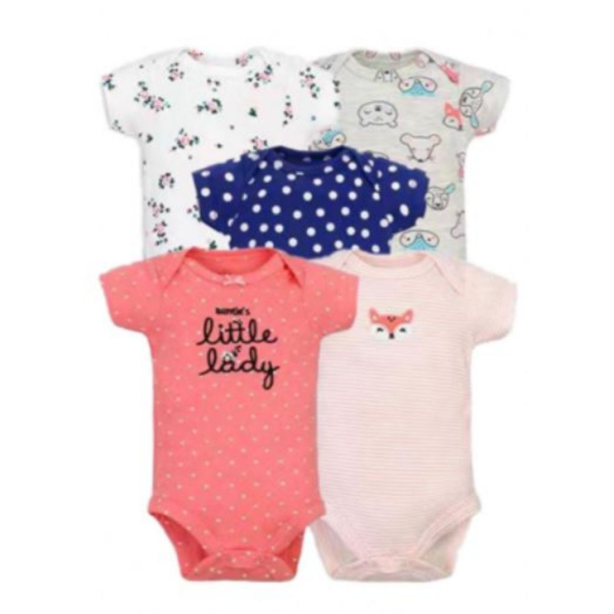 TEDMIMAK - Pack 5 Bodys Manga Corta Little Lady 100% Algodón