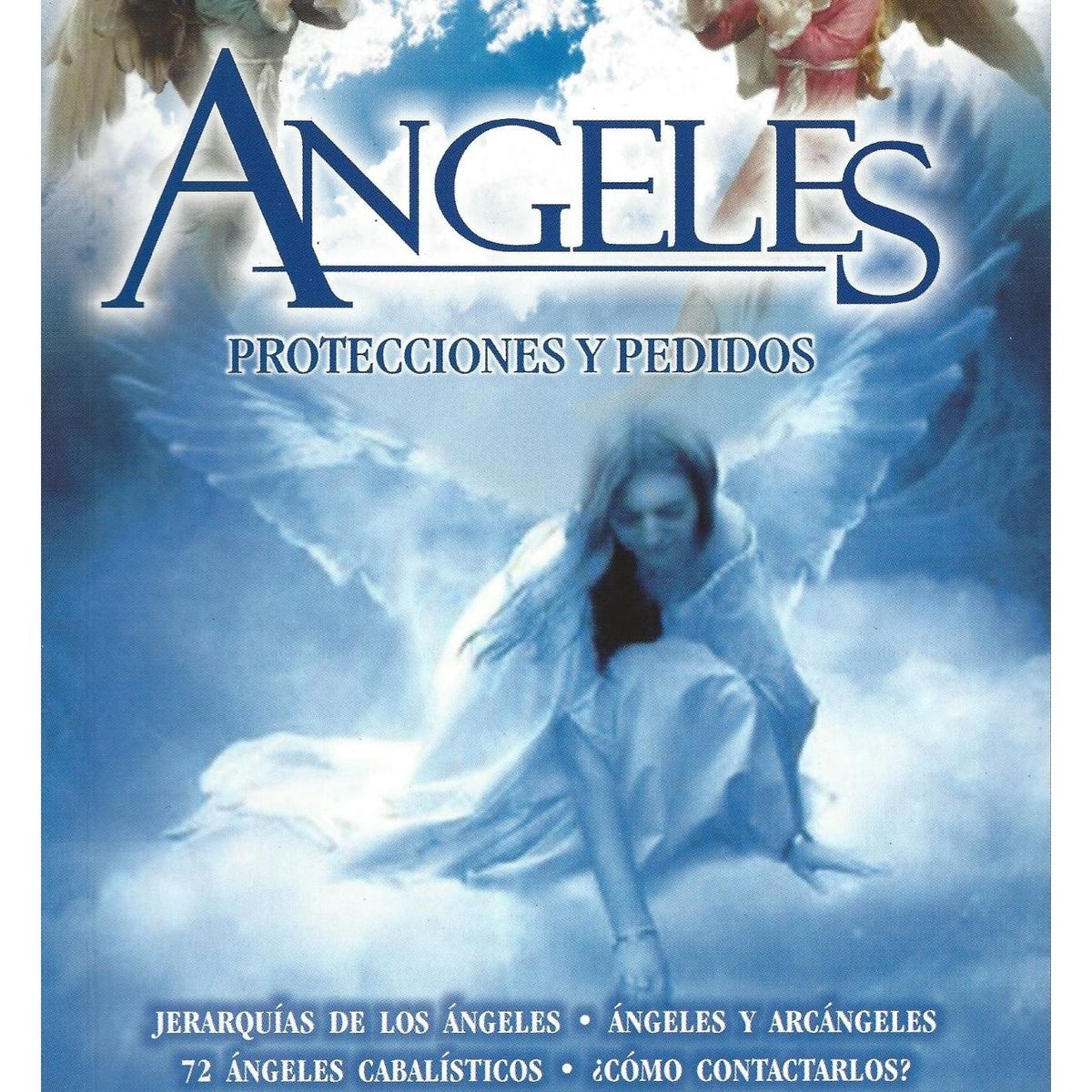 GENERICO - Ángeles Protecciones y pedidos
