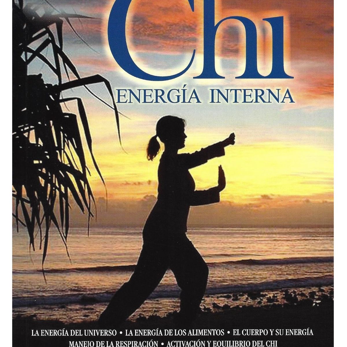 GENERICO - Chi energía interna