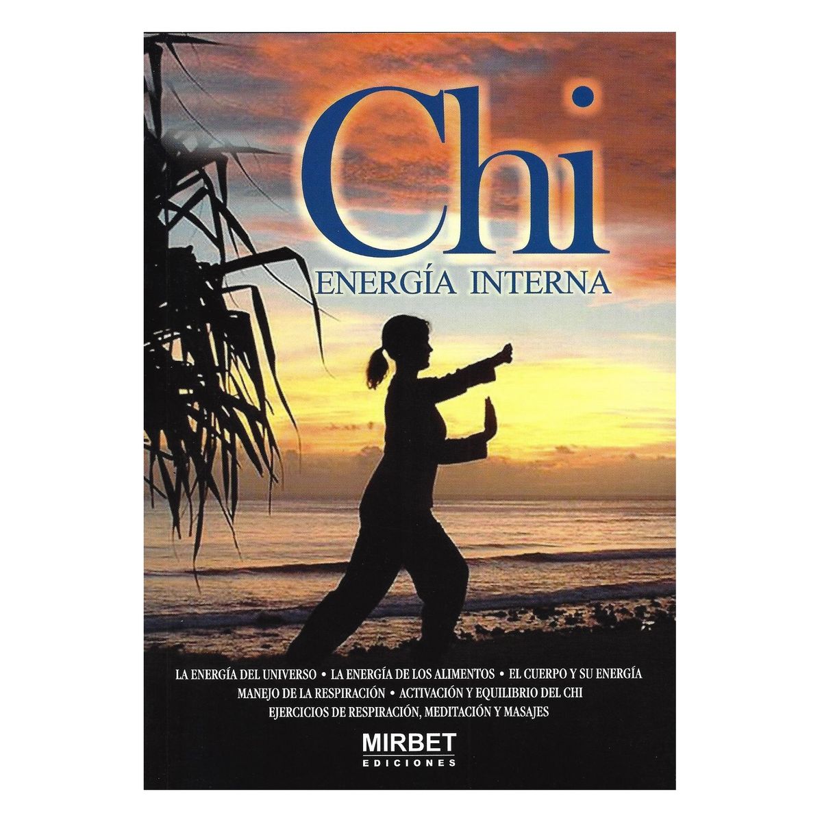 GENERICO - Chi energía interna