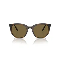 Ray-Ban Lentes de Sol RB4383L 710/73 53