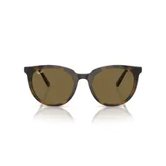 RAY BAN - Lentes De Sol Dark Havana Ray-Ban