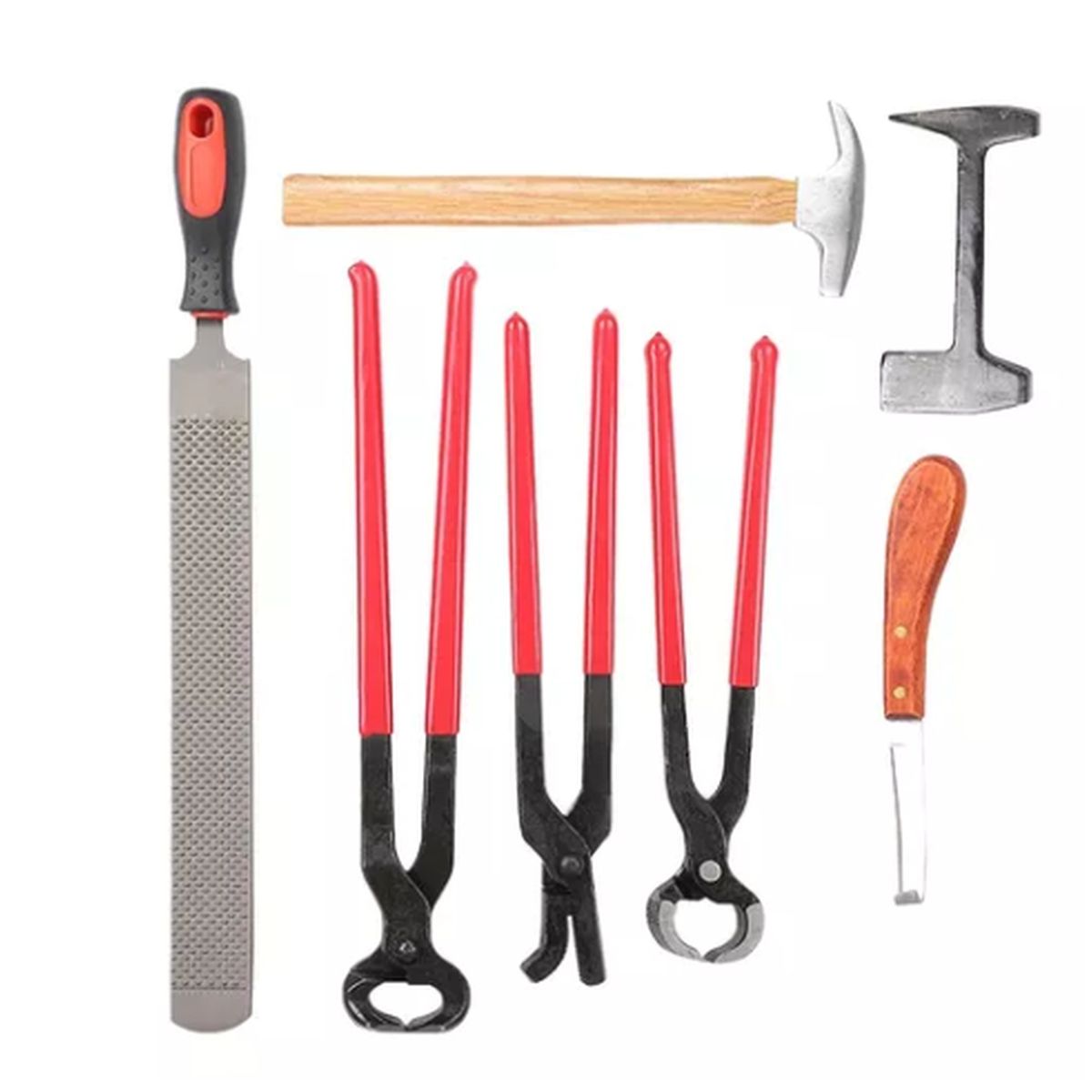 PARTYGLOBOS - Kit De Herraje Caballo Premium Hípica Corralero Fina Sangre.