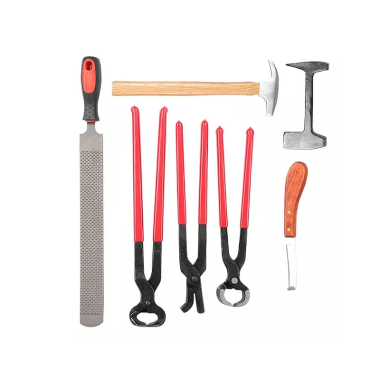 PARTYGLOBOS - Kit De Herraje Caballo Premium Hípica Corralero Fina Sangre.