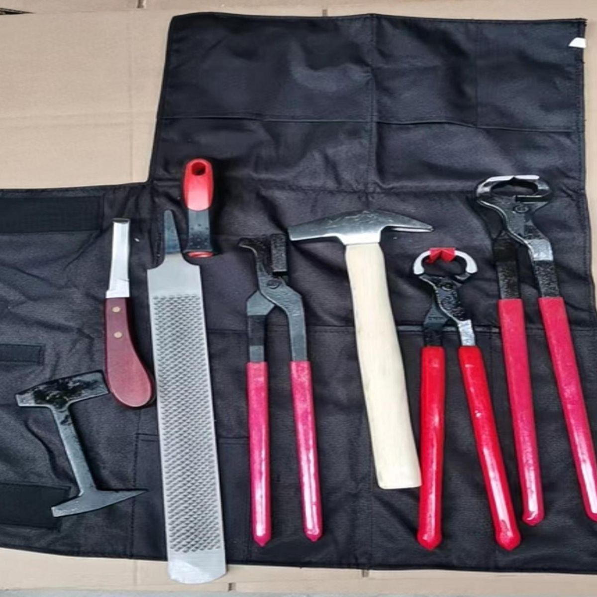 PARTYGLOBOS - Kit De Herraje Caballo Premium Hípica Corralero Fina Sangre.