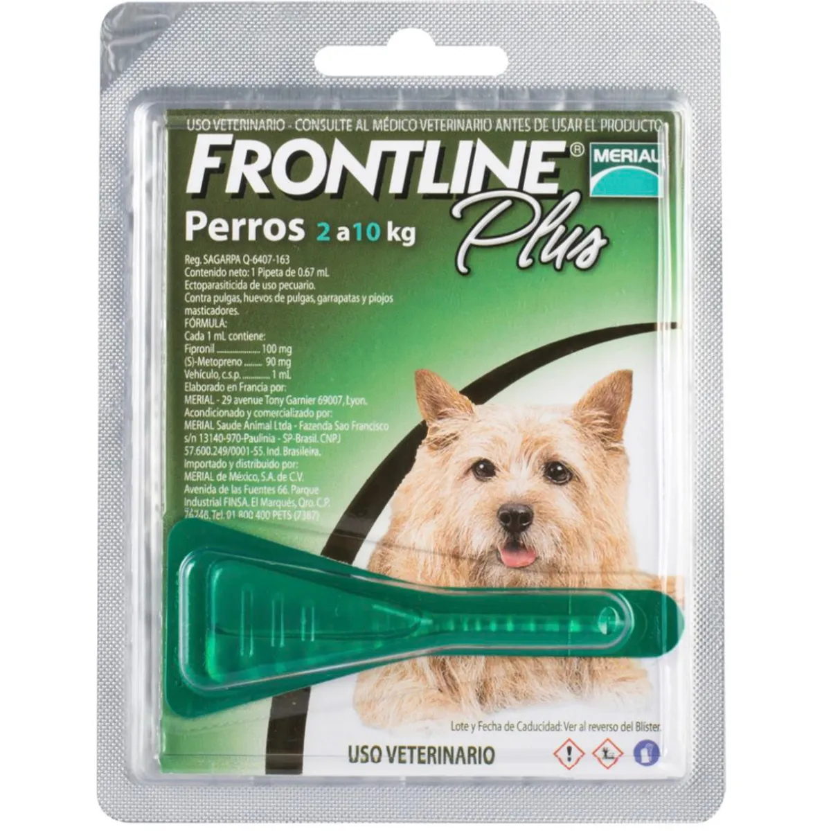 BOEHRINGER INGELHEIM - Frontline Plus Pipeta Perro Hasta 10 Kg Pulgas Y Garrapata