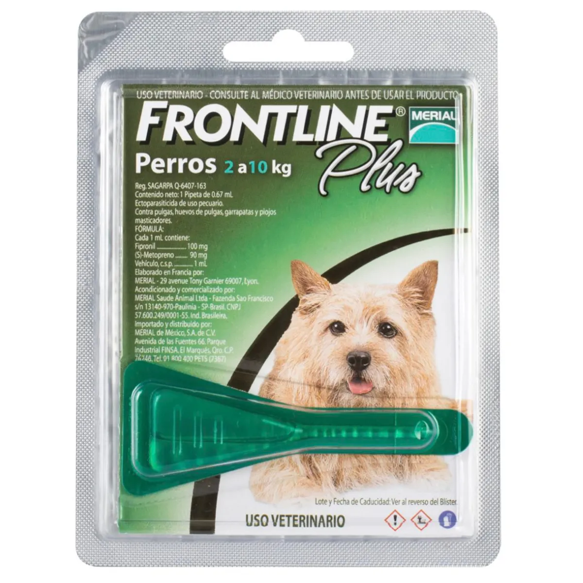 BOEHRINGER INGELHEIM - Frontline Plus Pipeta Perro Hasta 10 Kg Pulgas Y Garrapata