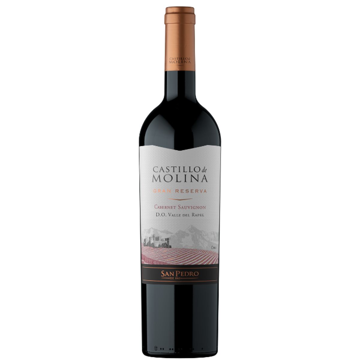 CASTILLO DE MOLINA - Vino Castillo de Molina Gran Reserva Cabernet 750cc