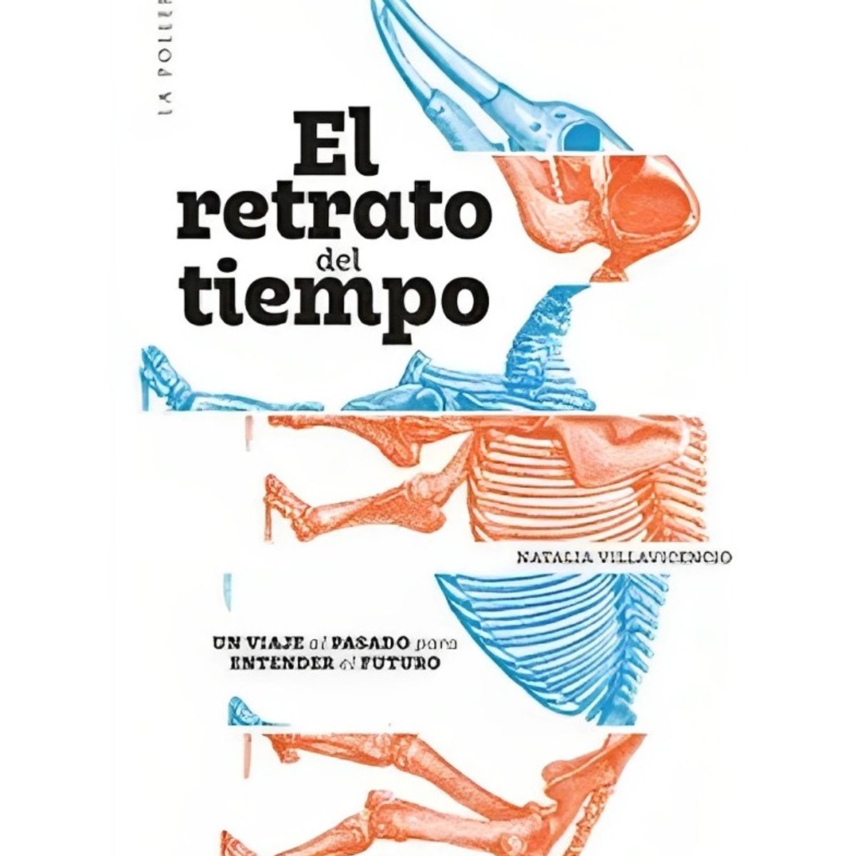 TOP10BOOKS - LIBRO El Retrato Del Tiempo - El Retrato Del Tiempo