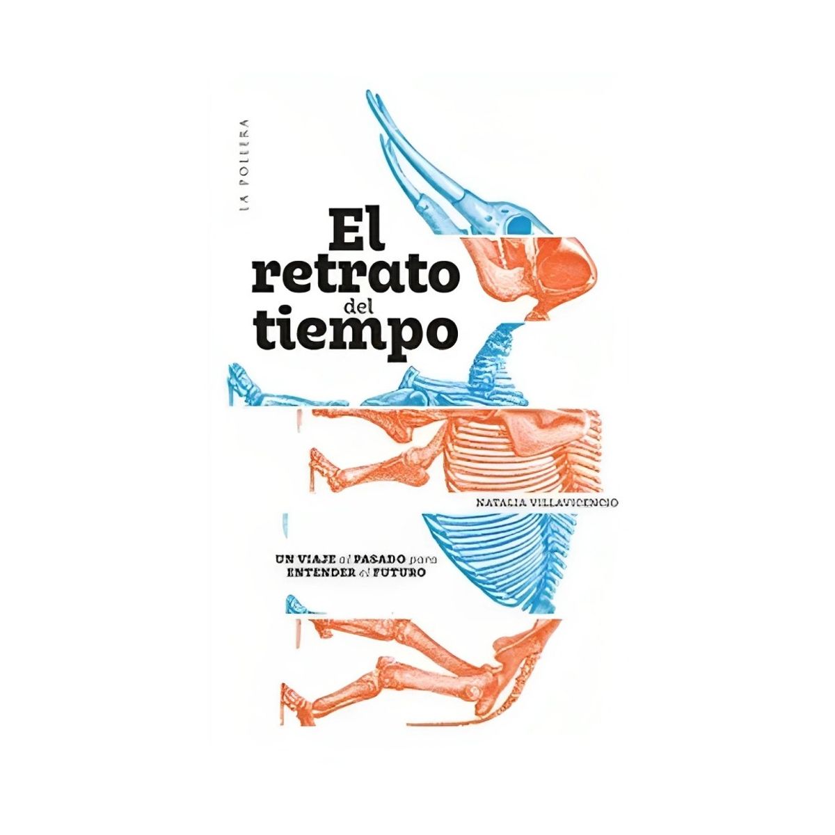 TOP10BOOKS - LIBRO El Retrato Del Tiempo - El Retrato Del Tiempo