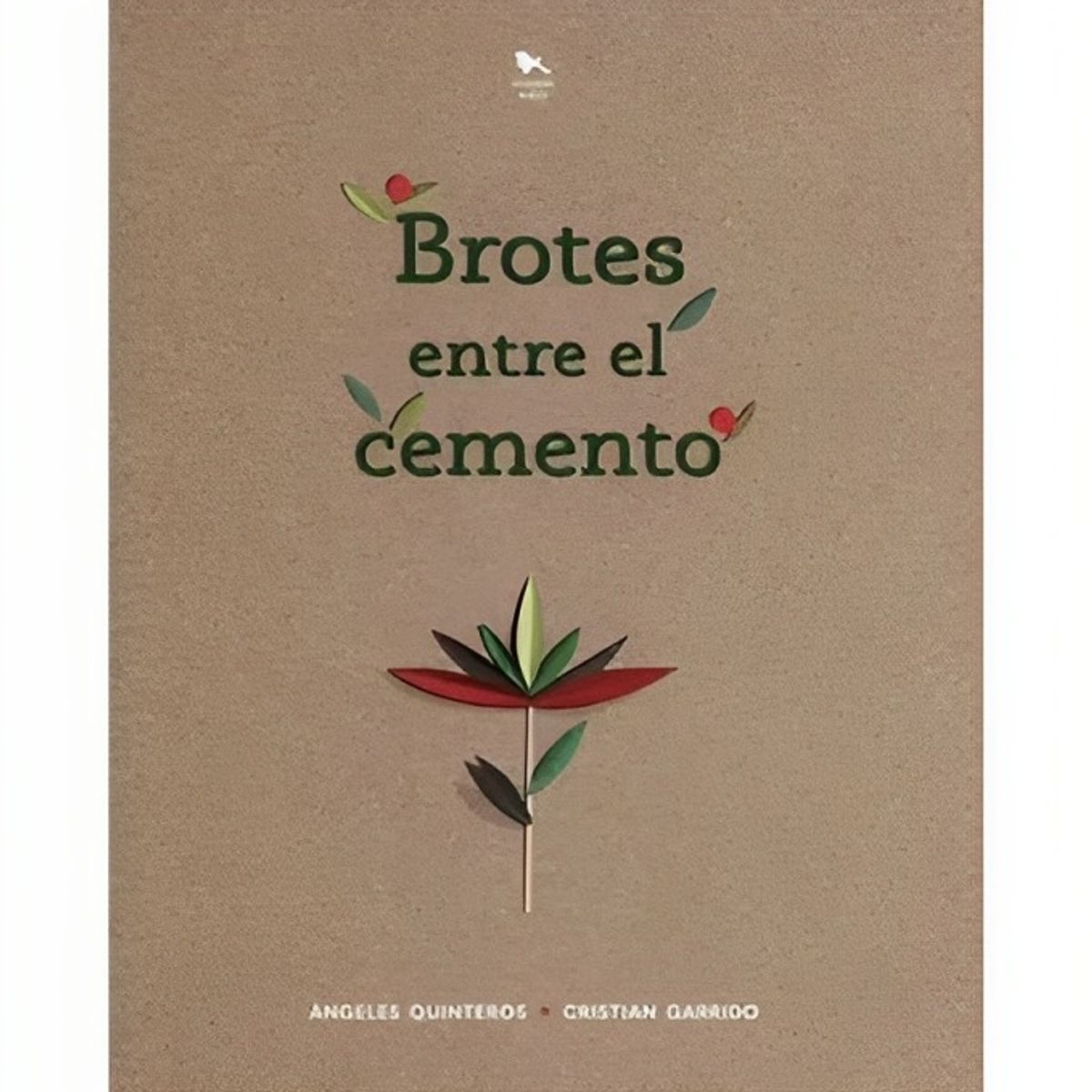 TOP10BOOKS - LIBRO Brotes Entre El Cemento - Brotes Entre El Cemento