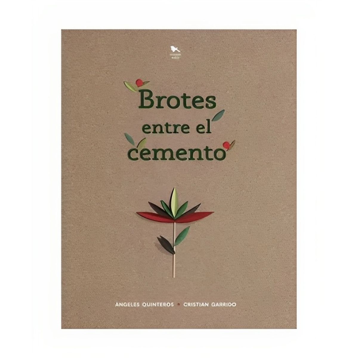 TOP10BOOKS - LIBRO Brotes Entre El Cemento - Brotes Entre El Cemento