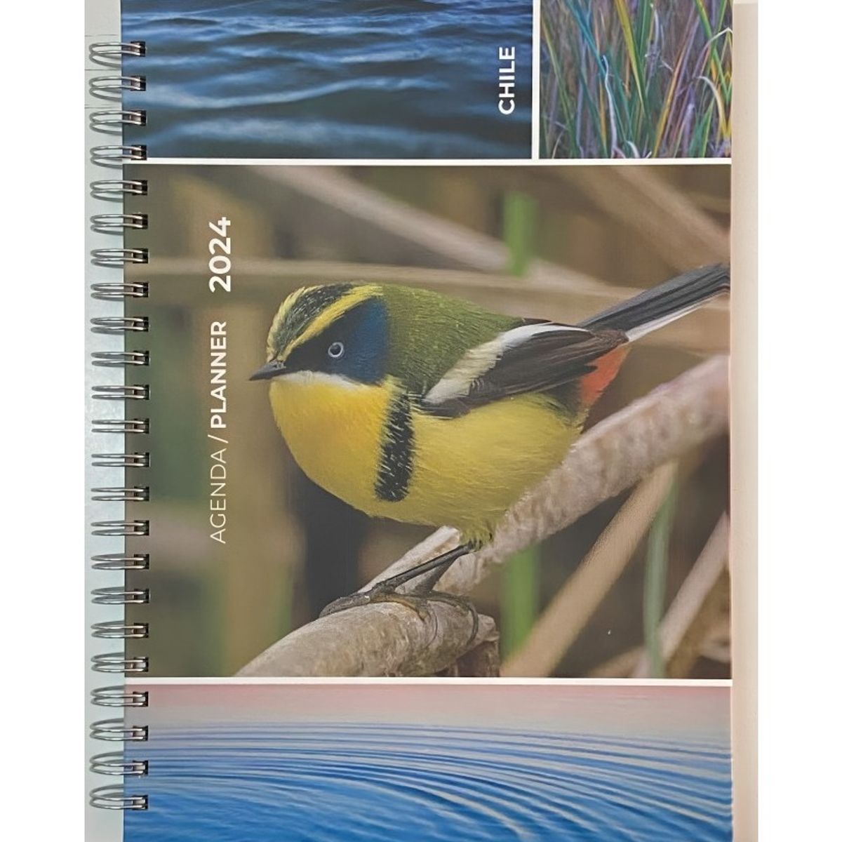 TOP10BOOKS - Agenda Aves De Chile 2024 Semana A La Vista