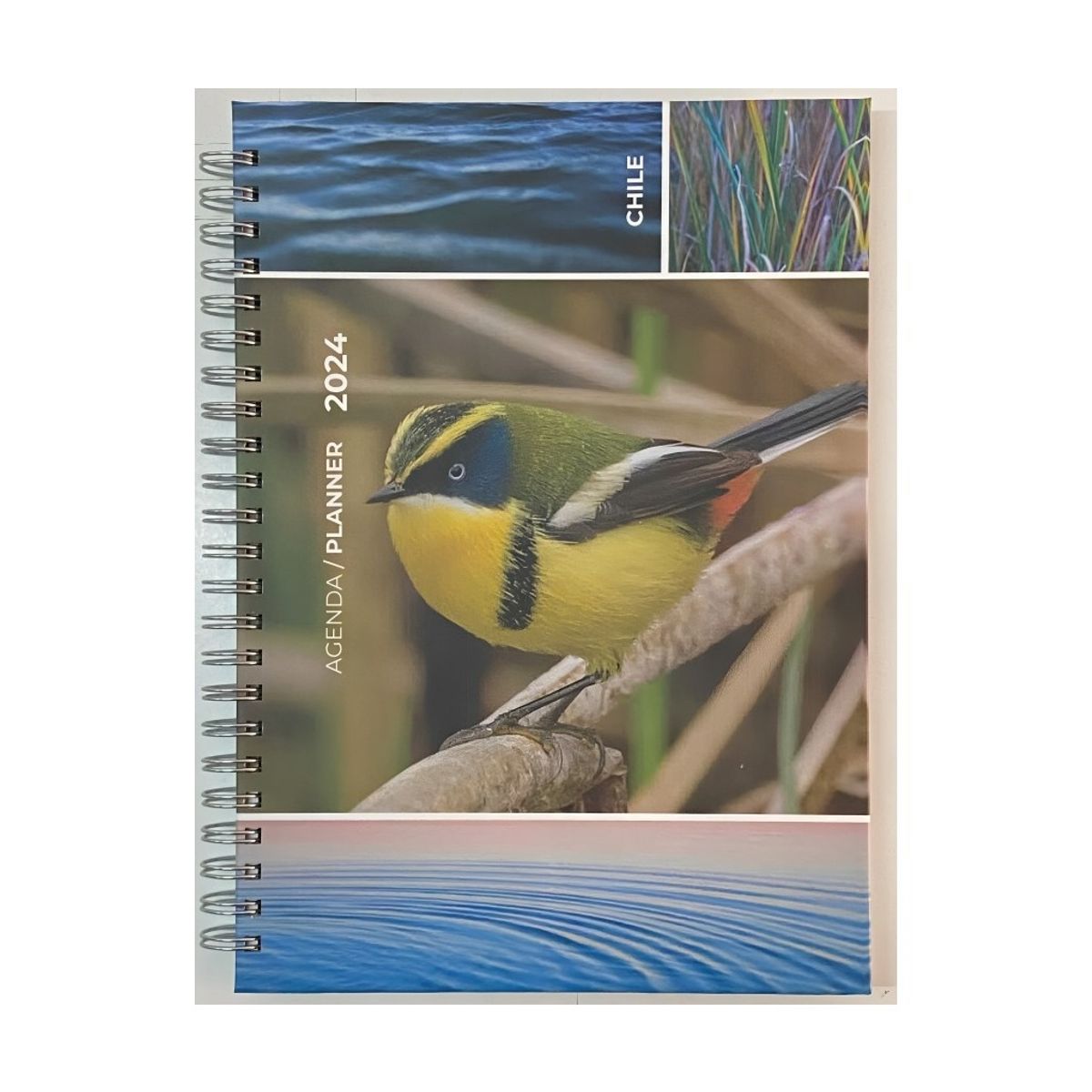 TOP10BOOKS - Agenda Aves De Chile 2024 Semana A La Vista
