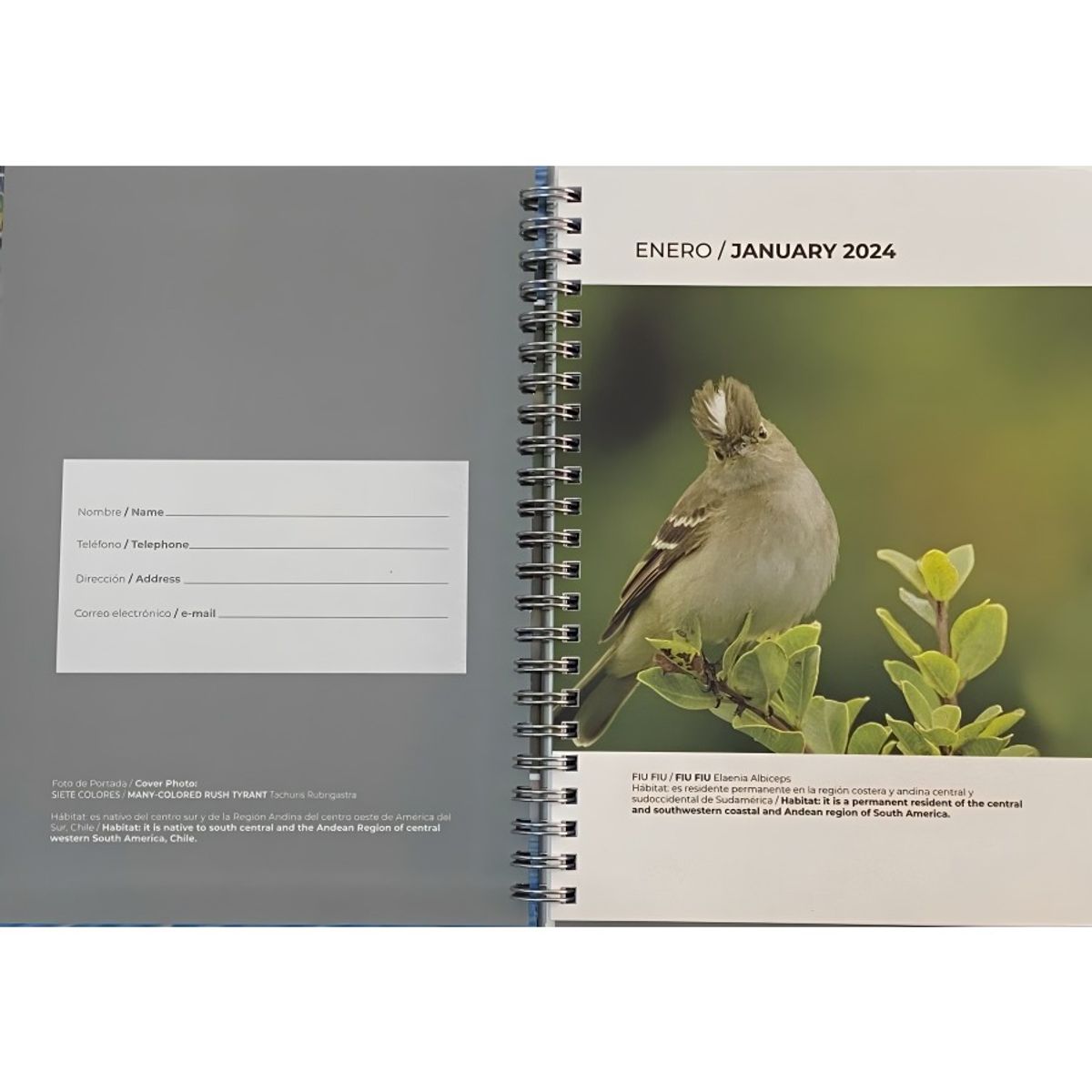 TOP10BOOKS - Agenda Aves De Chile 2024 Semana A La Vista