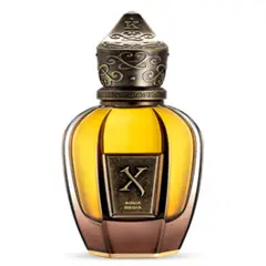 XERJOFF - AQUA REGIA PARFUM 100ML
