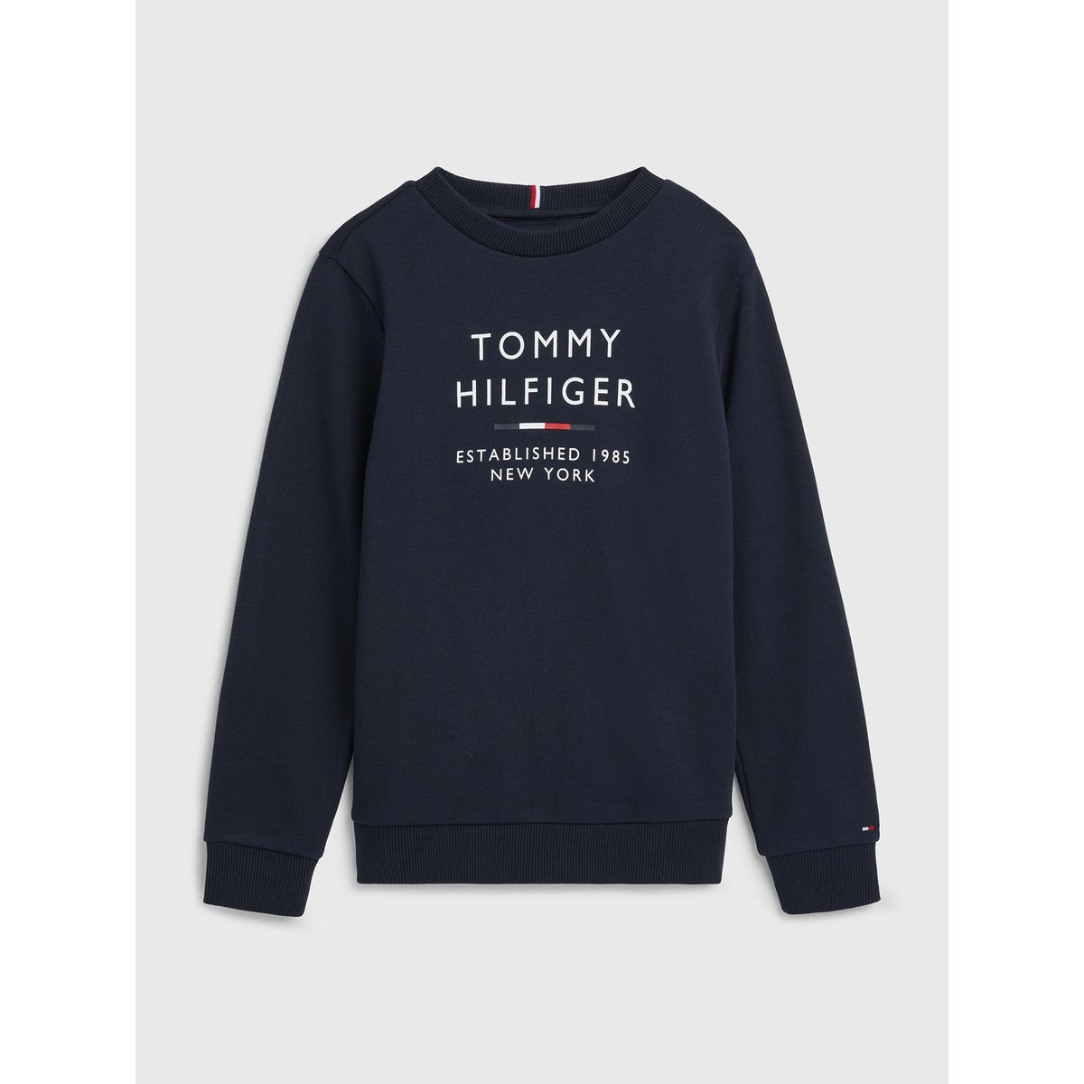 TOMMY HILFIGER - Polerón Logo Established 1985 Azul Niño