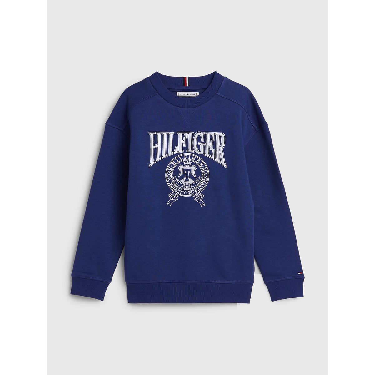 TOMMY HILFIGER - Polerón Unisex Varsity Logo Azul Niño