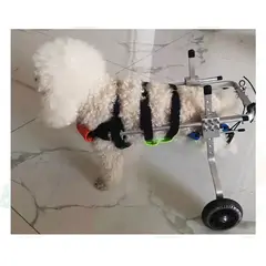 GENERICO - Talla xxxs silla ruedas perro gato mascota talla
