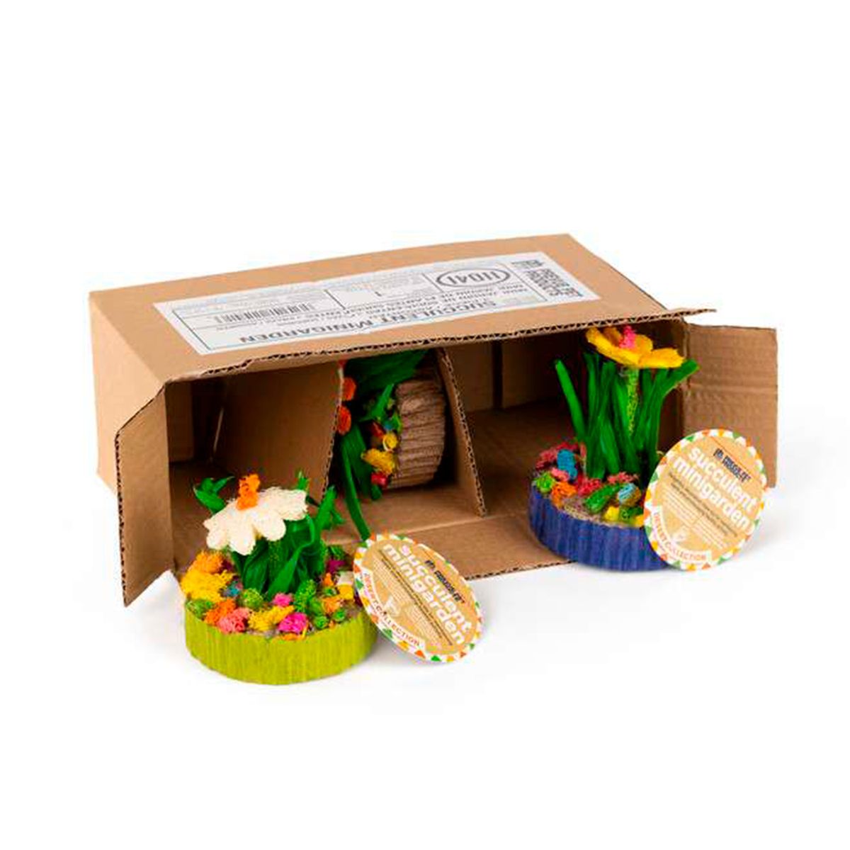 PREVUE - Jardin Mini Suculentas 3 Un Prevue